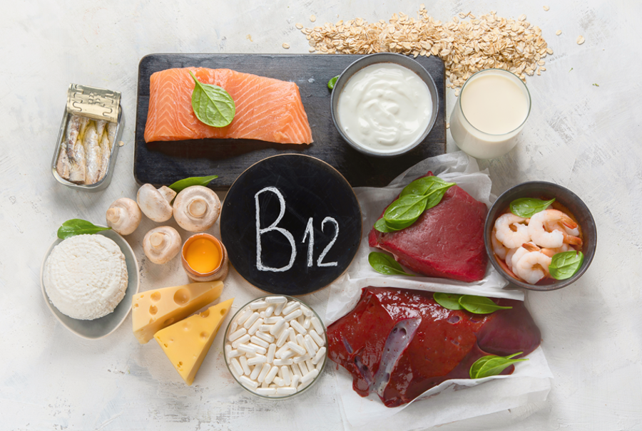 Vitamina B12 para pets: por que é tão importante?